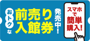 前売り入場券